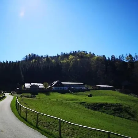 Ferienhaus Traunseeblick Holiday home *