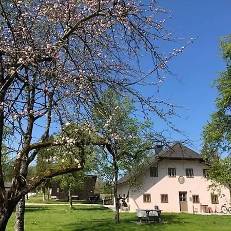 Tatil Evi Ferienhaus Traunseeblick *